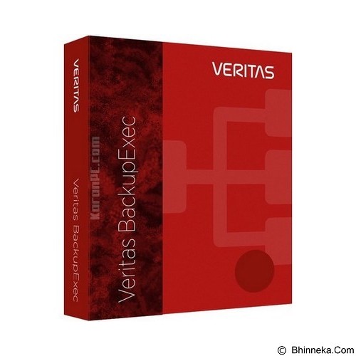 VERITAS Backup Exec Server Edition On Premise 13670-M0008